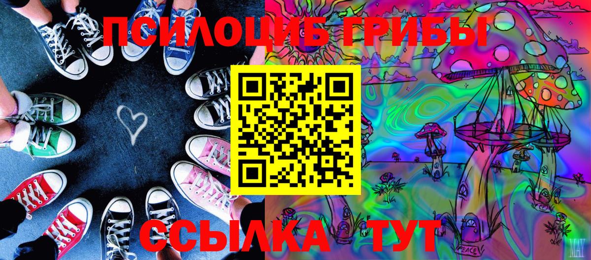 Электросталь  Галлюциногенные грибы GOLDEN TEACHER  Псилоцибиновые грибы MAGIC MUSHROOMS  Вход с VPN 